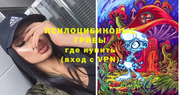 сатива Покровск