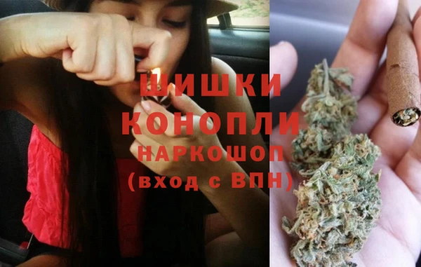 МДПВ Куртамыш