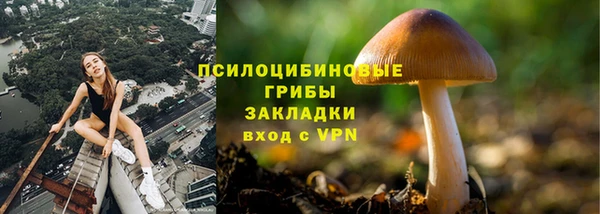 марки lsd Куровское