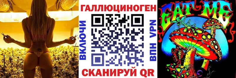 Галлюциногенные грибы мицелий  хочу наркоту  Ладушкин 