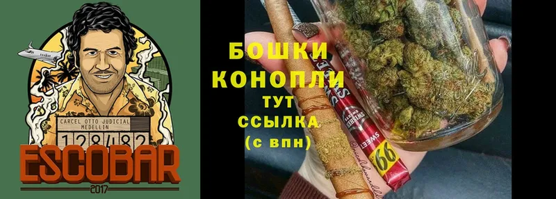 Бошки марихуана план  Ладушкин 